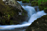 DSC_0464-Edit-jpg100-35