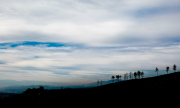 IMGS9190-jpg100-87