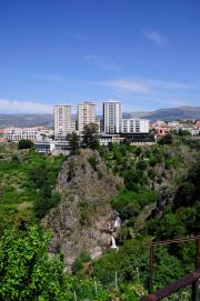 DSC0229-jpg100-2