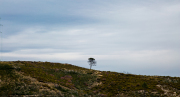 IMGS9195-jpg100-89