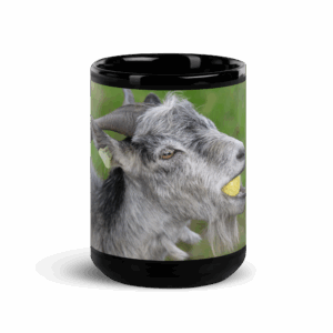 TheGoat Glossy Mug