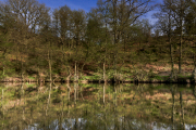 DSC_0401-Edit-jpg100-32
