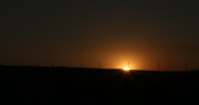 IMGL2309-jpg100-95