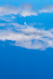 IMGL8650-jpg100-83