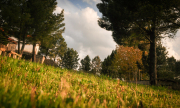 RicardoDaCosta-0790-jpg100-37