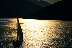 IMGL7685-jpg100-82
