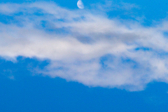 IMGL8650-jpg100-83