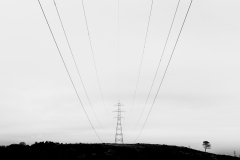 IMGS9187-jpg100-86