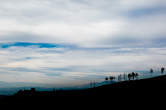 IMGS9190-jpg100-87